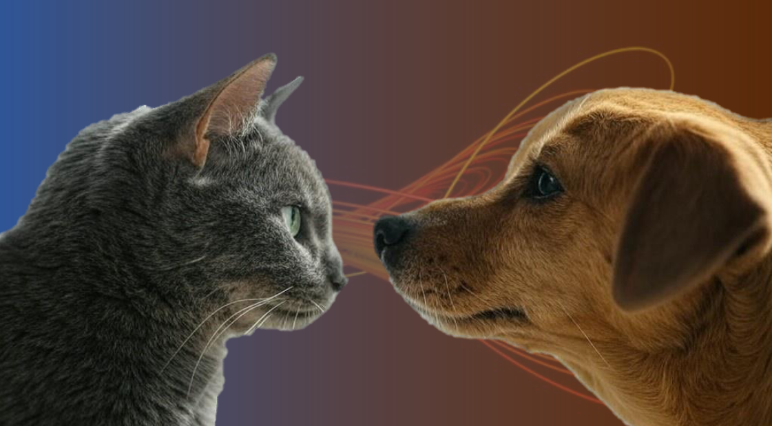 Classical Computer Vision: Cat vs Dog Classifier